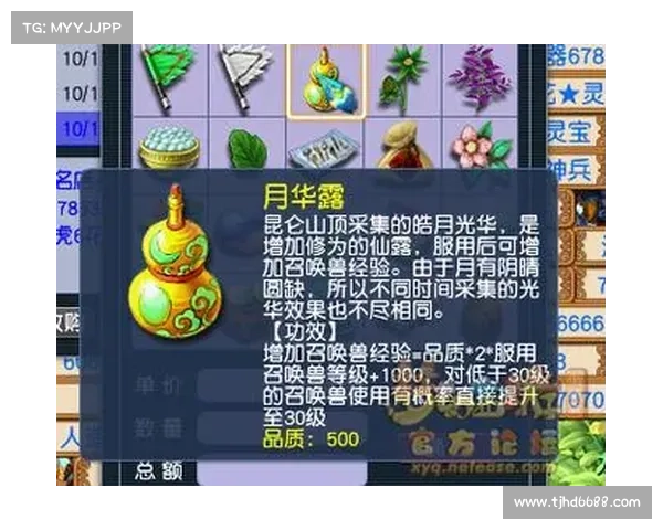 梦幻西游单机版5版本全方位攻略必备技巧与战术总结
