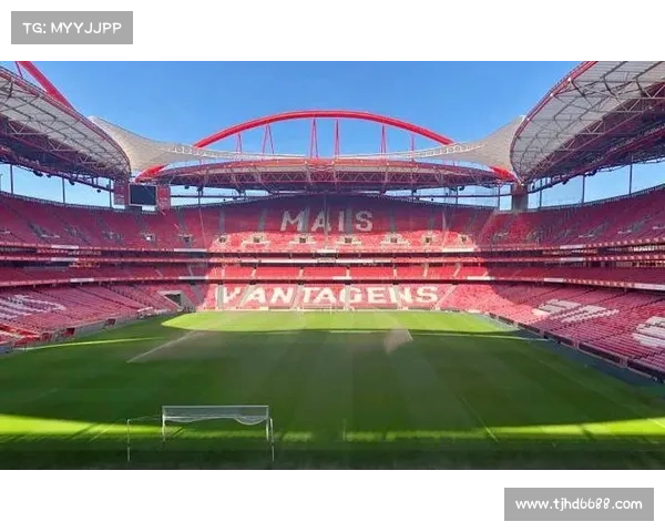 意甲球队应对球场建设困境的策略与未来发展路径分析