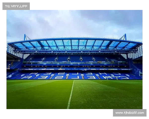 探秘斯坦福桥深层故事与背后神秘组织揭秘